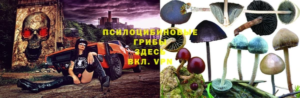 спиды Каменск-Шахтинский