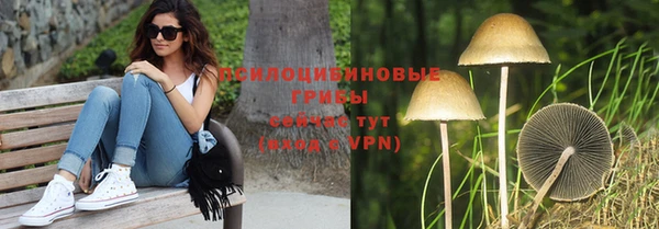 спиды Каменск-Шахтинский